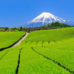 静岡県のさまざまなデータをご紹介！