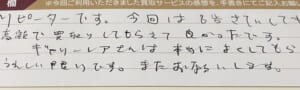 プラチナリングなど10点