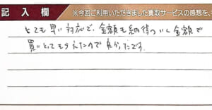 ルイ・ヴィトンのダミエバッグ