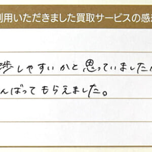 ルイ・ヴィトンのマヒナバッグ