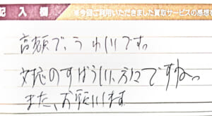 ルイ・ヴィトンのダミエバッグ