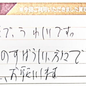 ルイ・ヴィトンのダミエバッグ