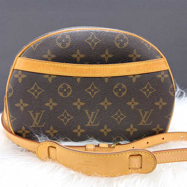 ルイ・ヴィトン ブロワ M51221