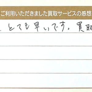 ジミーチュウの靴など2点