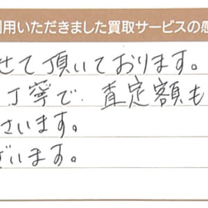 ルイ・ヴィトンのダミエバッグ