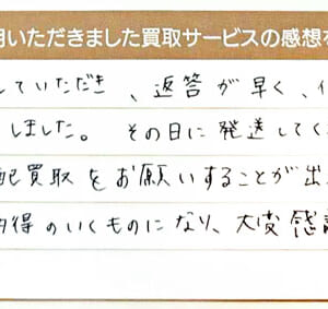 ダイヤモンドのネックレスなど2点