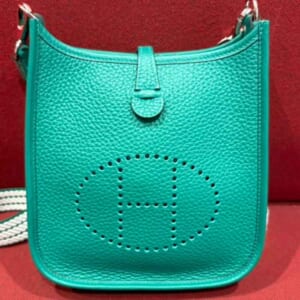 エルメス エブリンTPM アマゾン ロング ヴェールヴェルティゴ トリヨンクレマンス シルバー金具 W刻印