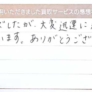 プラチナのネックレスなど2点