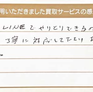 ルイ・ヴィトンのモノグラム・マカサーバッグ