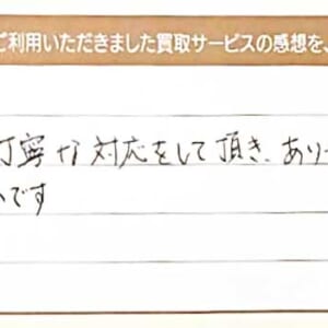 ディータのサングラス